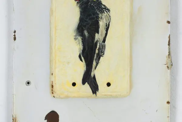A painting of a dead woodpecker on a white surface.