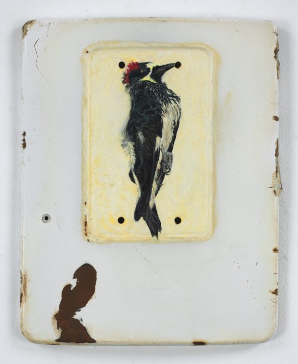 A painting of a dead woodpecker on a white surface.